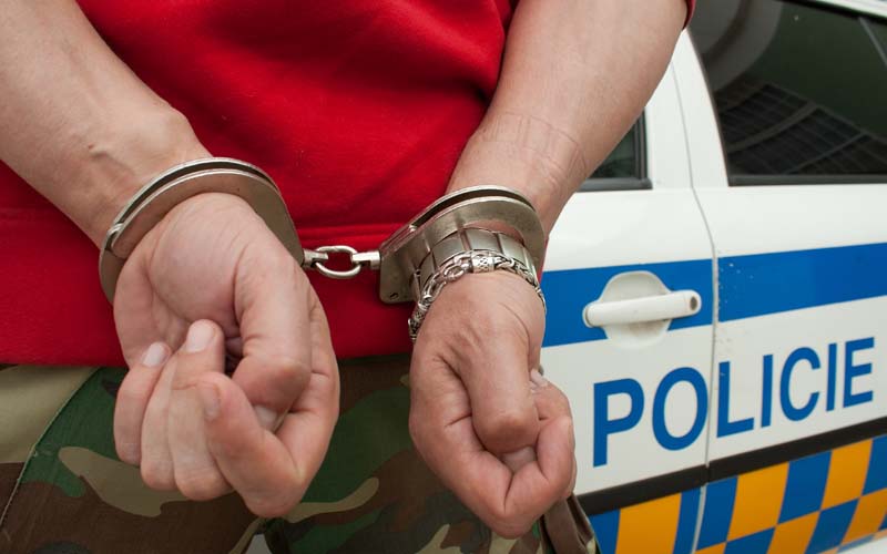 Florida man facing multiple felony charges detained by SWAT